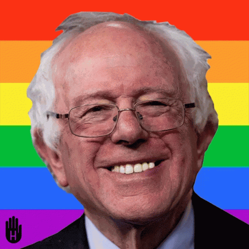 Bernie Sanders Feel The Bern GIF