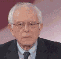 Bernie What GIF
