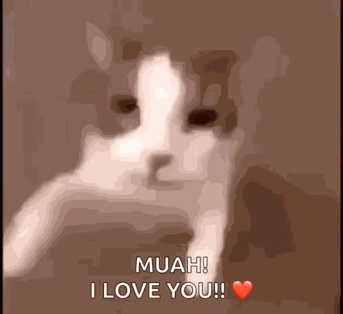 Besito Catlove GIF
