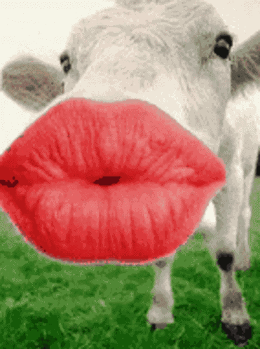 Besitos Besos GIF