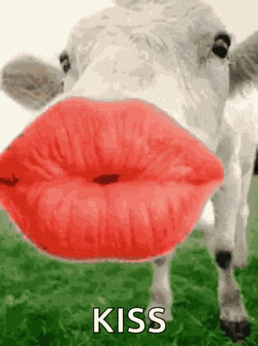 Besitos Besos GIF