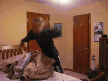 Best Freakout GIF