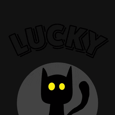 Best Of Luck Black Cat GIF