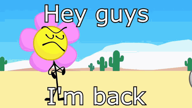 Bfb Bfdi GIF
