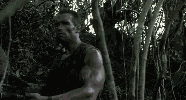 Bh187 Predator GIF