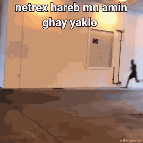 Bibiz GIF