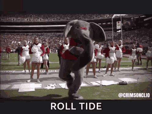 Big Al GIF