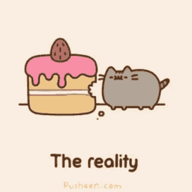 Big Cake Reality Pusheen Fat Cat GIF