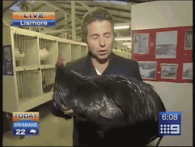 Big Cock Black Cock GIF