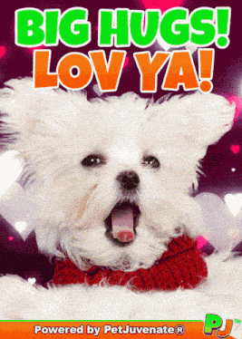 Big Hugs Sending Big Hugs GIF