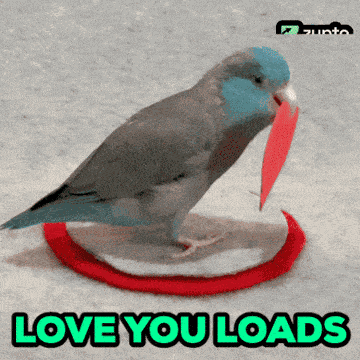 Big Love Bird With Heart GIF