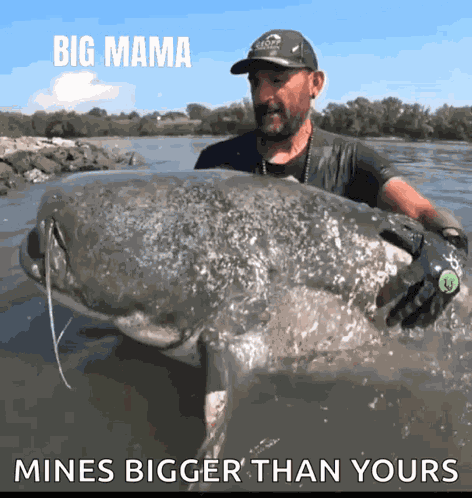 Big Mama Catfish World GIF