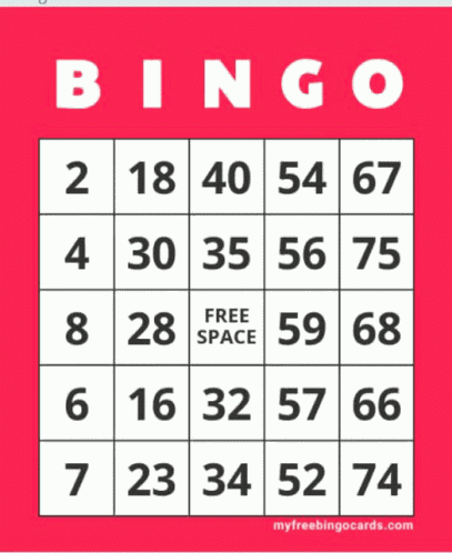 Bingo Bingo Pog GIF