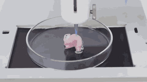 Bioprinting 3d Printing GIF