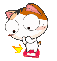 Birbhaus Weight Sticker