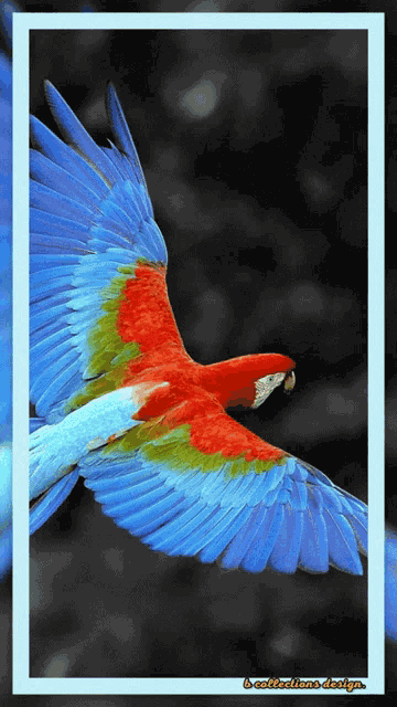 Bird Birds GIF GIF