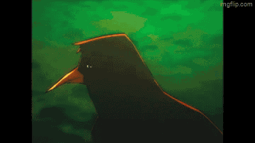 Animasi Burung GIFs