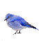 Bird Blue Bird Sticker
