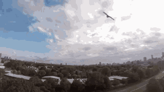 Bird Hawk GIF