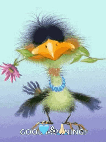 Bird GIF