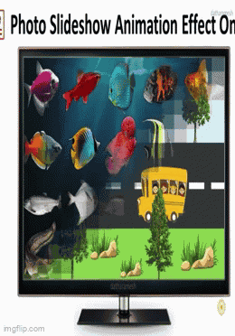 Bird Powerpoint GIF