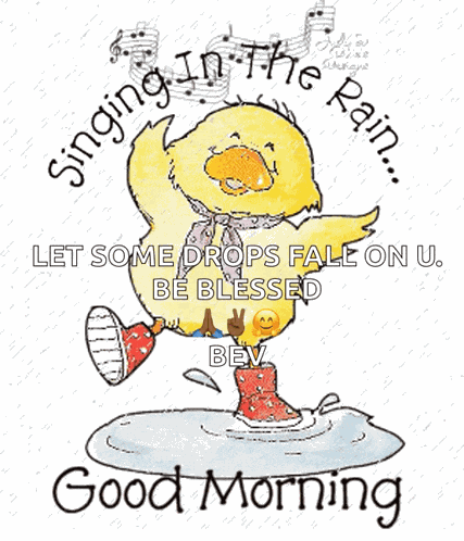 Bird Singing In The Rain GIF