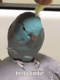 Birdie Hangout Spot Hangout Spot Discord GIF