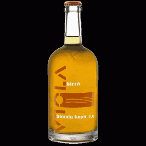 Birra Birra Viola GIF