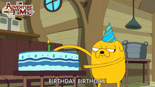 Birthday Birthday Finn The Human GIF