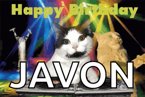 Birthday Birthday Wishes GIF