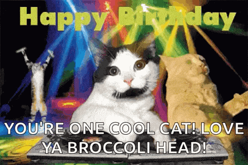 Birthday Birthday Wishes GIF