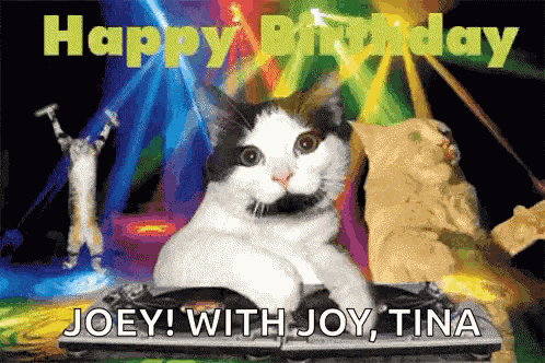 Birthday Birthday Wishes GIF