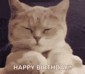 Birthday GIF