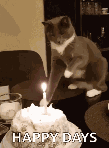 Birthday Cake Happy Birthday GIF