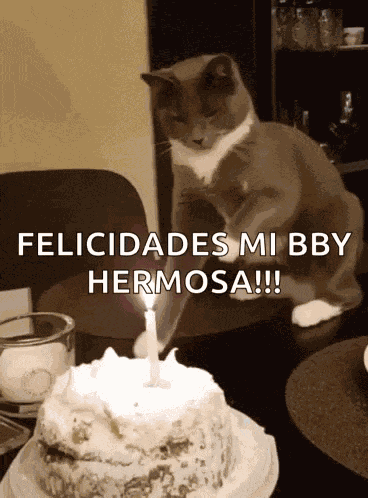 Birthday Cake Happy Birthday GIF