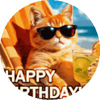 Birthday Cat Sticker