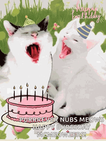Birthday Cats GIF