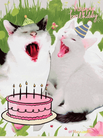 Birthday Cats GIF