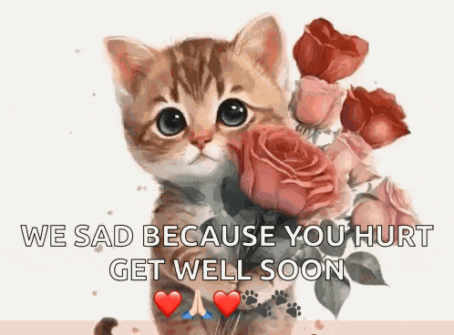 Birthday Get Well Soon Meme