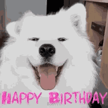 Birthday Girl Happy Birthday GIF
