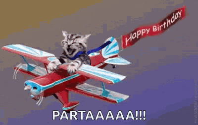 Birthday Happy Birthday GIF
