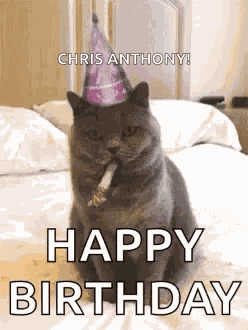 Birthday Happy Birthday GIF