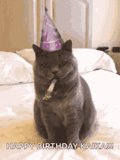Birthday Happy Birthday GIF