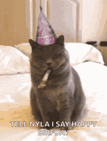 Birthday Happy GIF