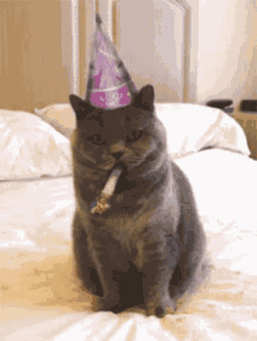 Birthday Happy GIF