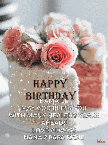 Birthday Happybirthday GIF