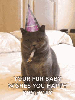 Birthday Happybirthday GIF