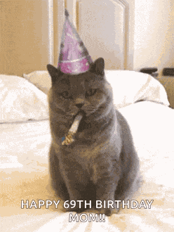 Birthday Happybirthday GIF