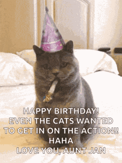 Birthday Happybirthday GIF