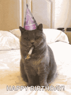 Birthday Happybirthday GIF